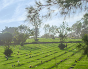 jardines de la paz